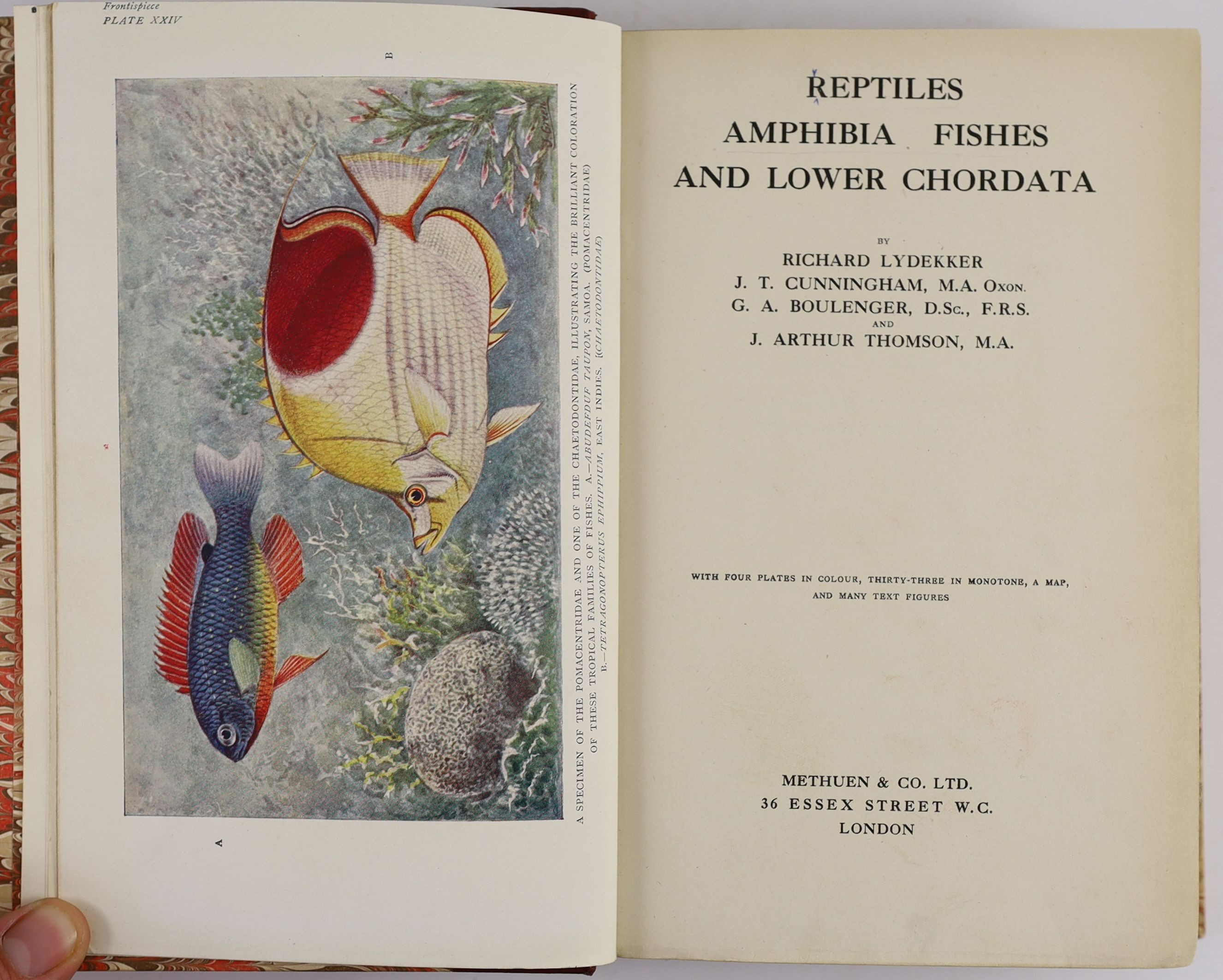 Fishing interest - Ronalds, Alfred - Fly-Fisher’s Entomology, 3rd edition, 8vo, quarter green morocco and green cloth, with 20 hand-coloured plates, A. Courtney Williams copy, London, 1844; Hills, John Walker - A Summer